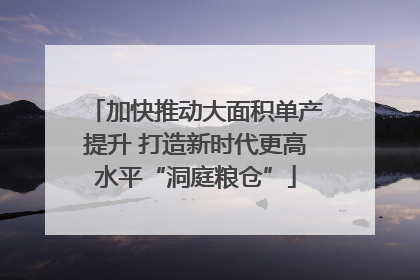 加快推动大面积单产提升 打造新时代更高水平“洞庭粮仓”