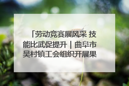 劳动竞赛展风采 技能比武促提升｜曲阜市吴村镇工会组织开展果树套袋技能竞赛