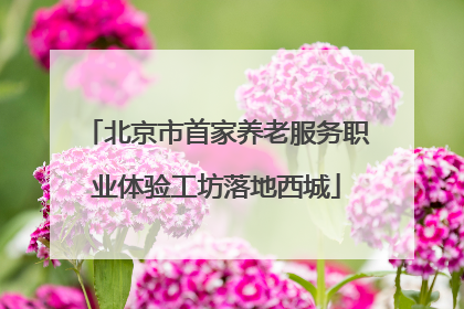 北京市首家养老服务职业体验工坊落地西城