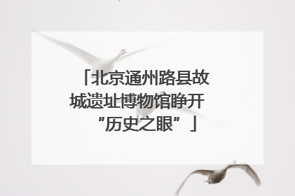 北京通州路县故城遗址博物馆睁开“历史之眼”