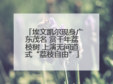 埃文凯尔现身广东茂名 赏千年荔枝树 上演无间道式“荔枝自由”