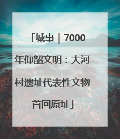 城事｜7000年仰韶文明：大河村遗址代表性文物首回原址