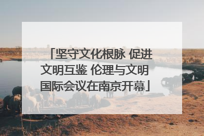 坚守文化根脉 促进文明互鉴 伦理与文明国际会议在南京开幕