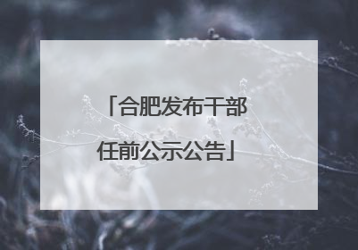 合肥发布干部任前公示公告
