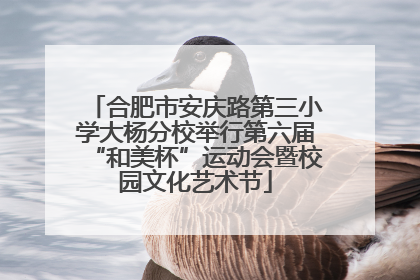合肥市安庆路第三小学大杨分校举行第六届“和美杯”运动会暨校园文化艺术节