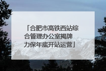 合肥市高铁西站综合管理办公室揭牌 力保年底开站运营