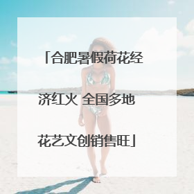 合肥暑假荷花经济红火 全国多地花艺文创销售旺