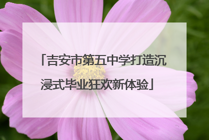 吉安市第五中学打造沉浸式毕业狂欢新体验