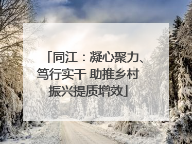 同江：凝心聚力、笃行实干 助推乡村振兴提质增效