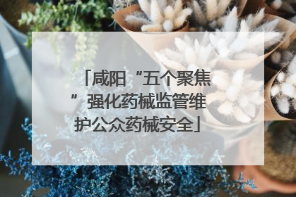 咸阳“五个聚焦”强化药械监管维护公众药械安全