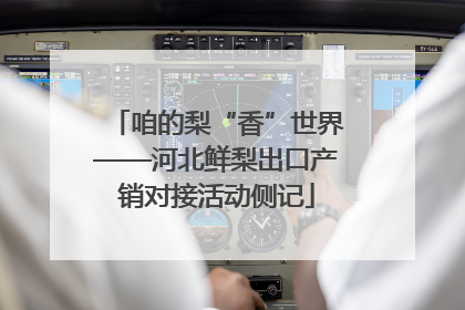 咱的梨“香”世界——河北鲜梨出口产销对接活动侧记