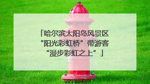 哈尔滨太阳岛风景区“阳光彩虹桥”带游客“漫步彩虹之上”