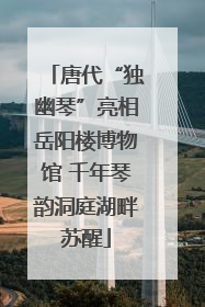 唐代“独幽琴”亮相岳阳楼博物馆 千年琴韵洞庭湖畔苏醒