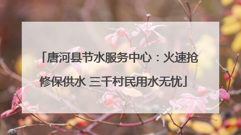 唐河县节水服务中心：火速抢修保供水 三千村民用水无忧