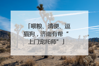 喂粮、清便、逗猫狗，济南有帮“上门宠托师”