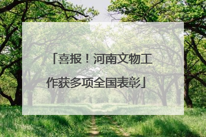 喜报！河南文物工作获多项全国表彰