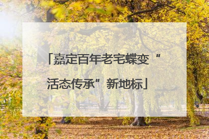 嘉定百年老宅蝶变“活态传承”新地标