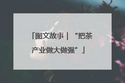 图文故事｜“把茶产业做大做强”