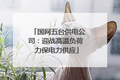 国网五台供电公司：迎战高温负荷 力保电力供应