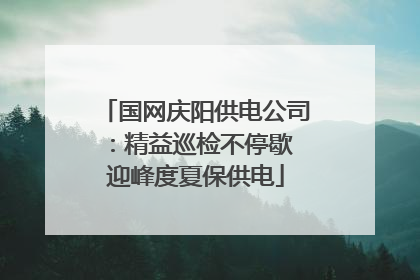 国网庆阳供电公司：精益巡检不停歇 迎峰度夏保供电