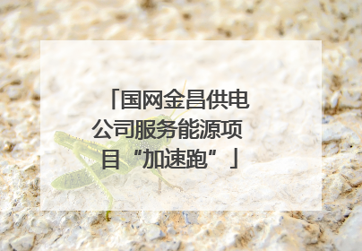 国网金昌供电公司服务能源项目“加速跑”