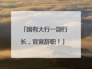 国有大行一副行长，官宣辞职！