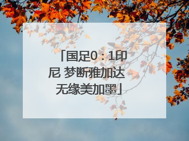 国足0∶1印尼 梦断雅加达 无缘美加墨