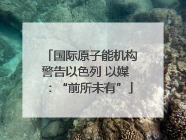 国际原子能机构警告以色列 以媒：“前所未有”