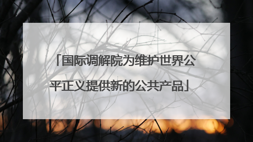 国际调解院为维护世界公平正义提供新的公共产品