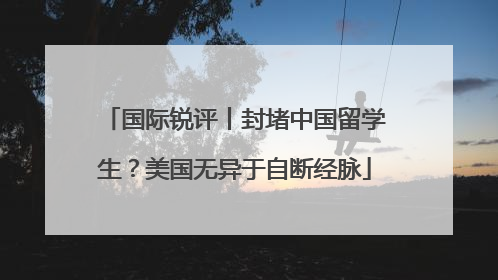 国际锐评丨封堵中国留学生？美国无异于自断经脉