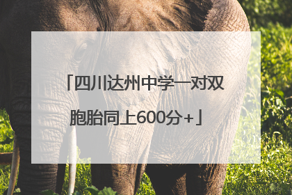 四川达州中学一对双胞胎同上600分+