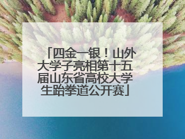 四金一银！山外大学子亮相第十五届山东省高校大学生跆拳道公开赛