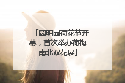 圆明园荷花节开幕，首次举办荷梅南北双花展