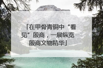 在甲骨青铜中“看见”殷商，一展纵览殷商文物精华