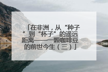 在非洲，从“种子”到“杯子”的遥远距离——一颗咖啡豆的前世今生（三）