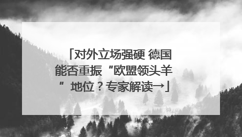 对外立场强硬 德国能否重振“欧盟领头羊”地位？专家解读→