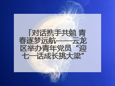 对话携手共勉 青春逐梦远航——云龙区举办青年党员“迎七一话成长挑大梁”交流活动