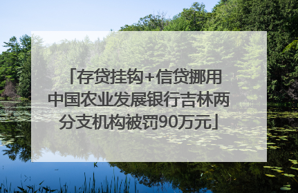 存贷挂钩+信贷挪用 中国农业发展银行吉林两分支机构被罚90万元
