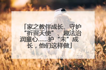 家之教伴成长、守护“折翼天使”、趣法治润童心……护“未”成长，他们这样做