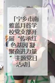 宁乡市南雅蓝月谷学校党支部开展“传承红色基因 凝聚奋进力量”主题党日活动