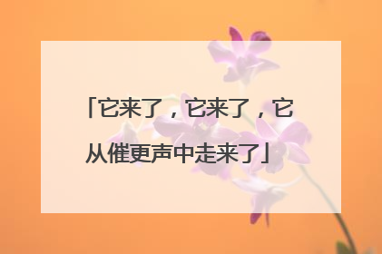 它来了，它来了，它从催更声中走来了
