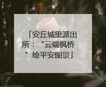 安丘城里派出所：“云端枫桥”绘平安图景