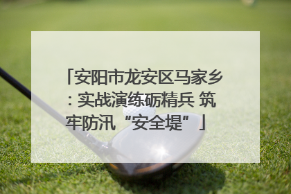 安阳市龙安区马家乡：实战演练砺精兵 筑牢防汛“安全堤”