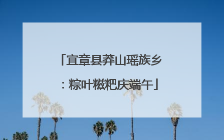 宜章县莽山瑶族乡：粽叶糍粑庆端午
