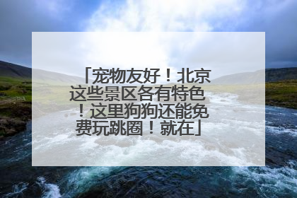 宠物友好！北京这些景区各有特色！这里狗狗还能免费玩跳圈！就在