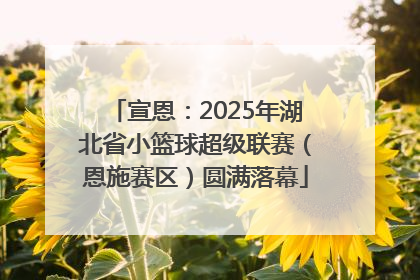 宣恩：2025年湖北省小篮球超级联赛（恩施赛区）圆满落幕