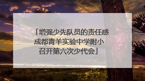 增强少先队员的责任感 成都青羊实验中学附小召开第六次少代会