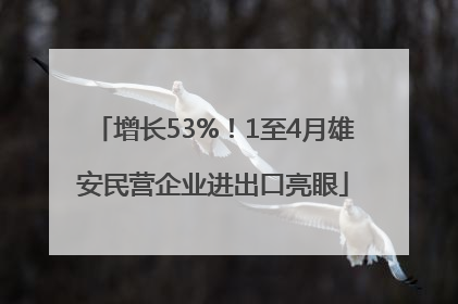 增长53%！1至4月雄安民营企业进出口亮眼
