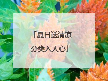 夏日送清凉 分类入人心