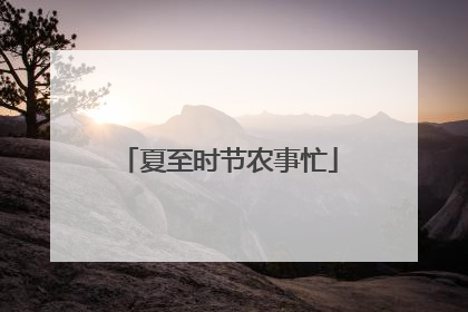 夏至时节农事忙